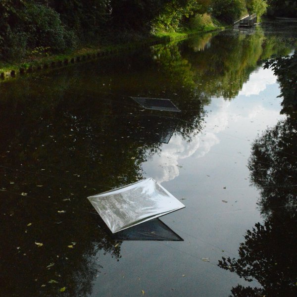 Photo Flying phosphorus and shooting stars